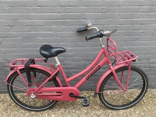 gelissen 2wielers, shimano service center, stein, giant, trek, batavus, sparta, ktm, speciaalzaak, racefietsen, mountainbike, stadsfietsen, kinderfietsen, electrische fietsen, gravelbike, 2 de hands, fietsonderdelen, Lease