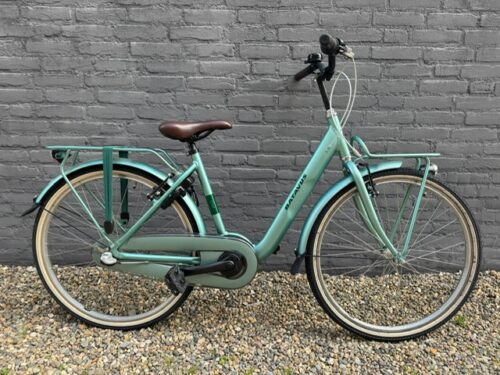 gelissen 2wielers, shimano service center, stein, giant, trek, batavus, sparta, ktm, speciaalzaak, racefietsen, mountainbike, stadsfietsen, kinderfietsen, electrische fietsen, gravelbike, 2 de hands, fietsonderdelen, Lease